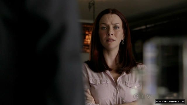 Annie Wersching in No Ordinary Family