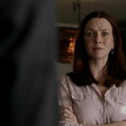 Annie Wersching in No Ordinary Family