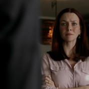 Annie Wersching in No Ordinary Family