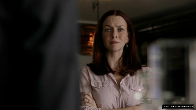 Annie Wersching in No Ordinary Family