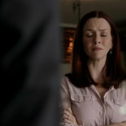 Annie Wersching in No Ordinary Family