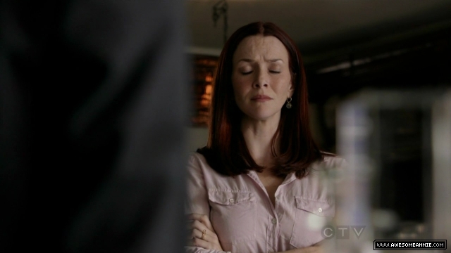 Annie Wersching in No Ordinary Family