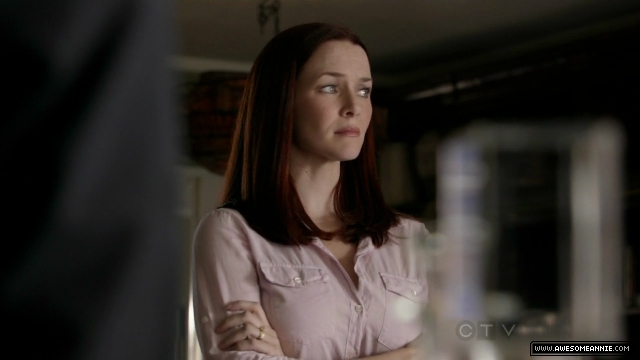 Annie Wersching in No Ordinary Family