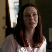 Annie Wersching in No Ordinary Family