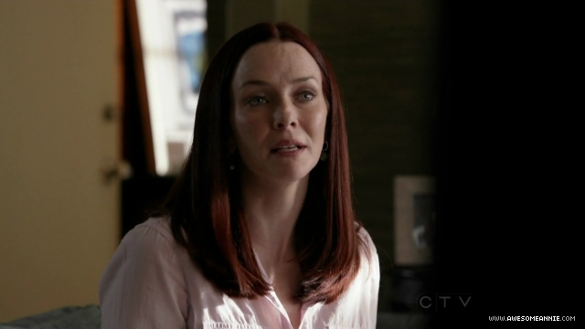 Annie Wersching in No Ordinary Family