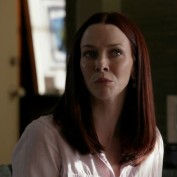 Annie Wersching in No Ordinary Family