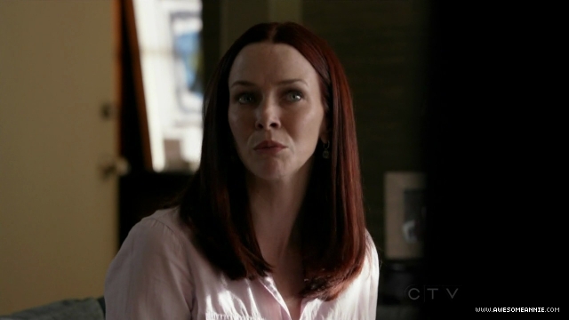 Annie Wersching in No Ordinary Family