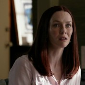 Annie Wersching in No Ordinary Family