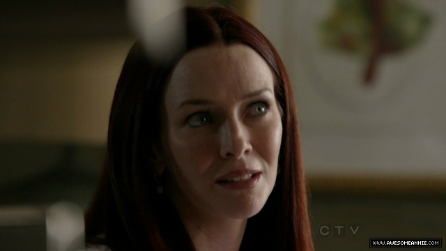 Annie Wersching in No Ordinary Family