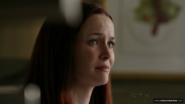 Annie Wersching in No Ordinary Family