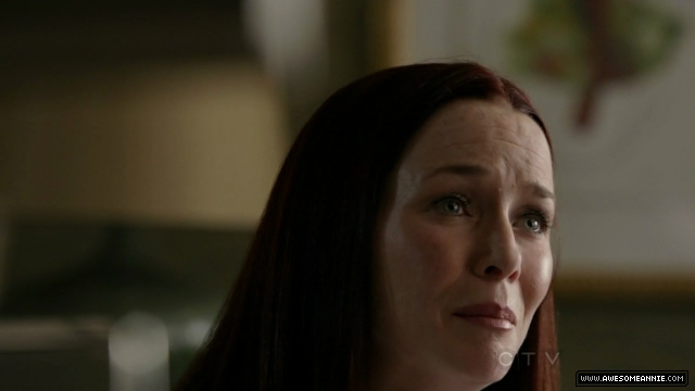 Annie Wersching in No Ordinary Family