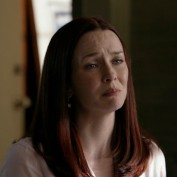 Annie Wersching in No Ordinary Family