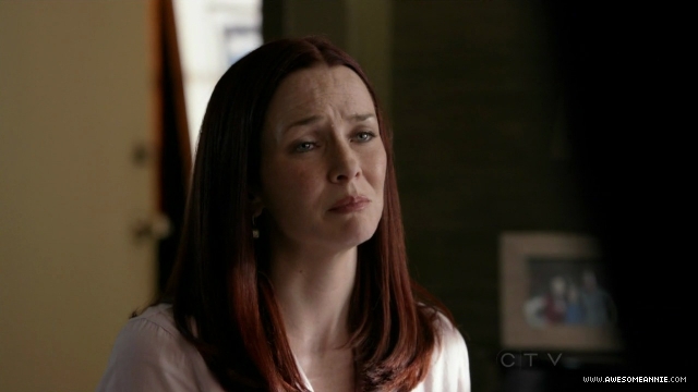 Annie Wersching in No Ordinary Family