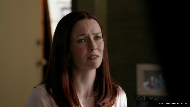 Annie Wersching in No Ordinary Family