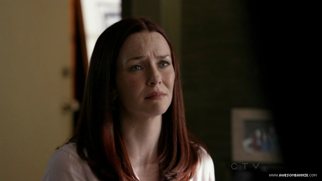 Annie Wersching in No Ordinary Family