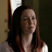 Annie Wersching in No Ordinary Family