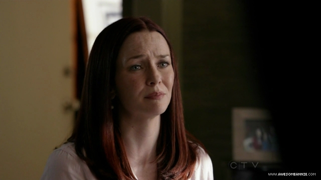 Annie Wersching in No Ordinary Family