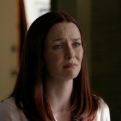 Annie Wersching in No Ordinary Family