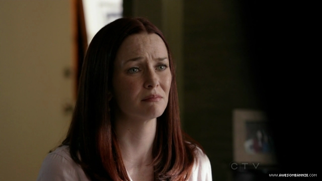 Annie Wersching in No Ordinary Family