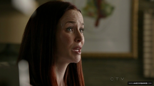 Annie Wersching in No Ordinary Family