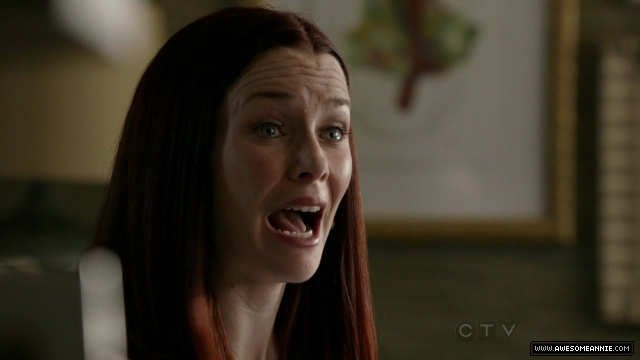 Annie Wersching in No Ordinary Family