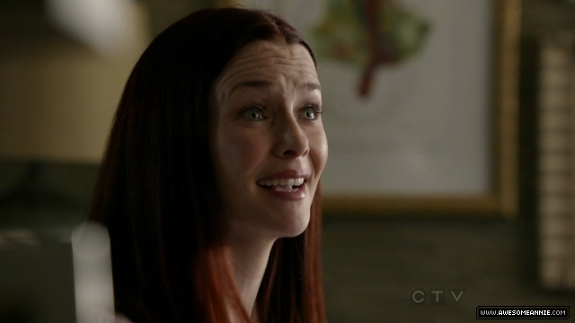 Annie Wersching in No Ordinary Family