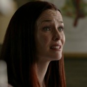 Annie Wersching in No Ordinary Family