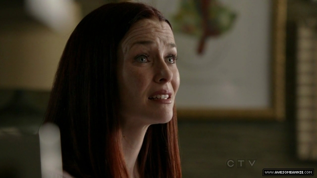 Annie Wersching in No Ordinary Family