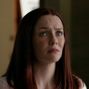 Annie Wersching in No Ordinary Family