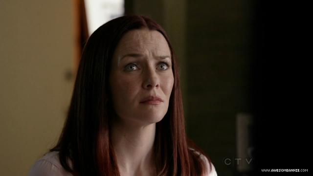 Annie Wersching in No Ordinary Family