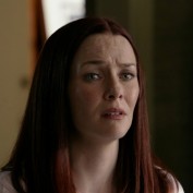 Annie Wersching in No Ordinary Family