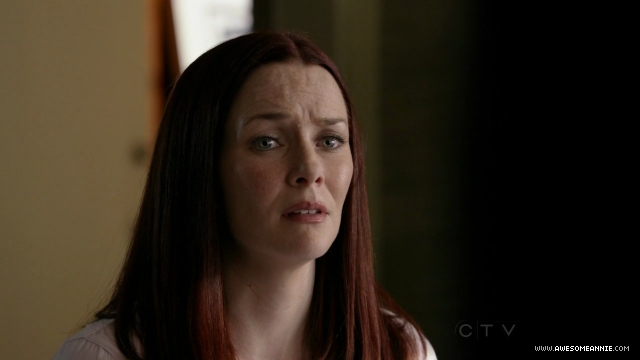 Annie Wersching in No Ordinary Family