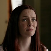 Annie Wersching in No Ordinary Family