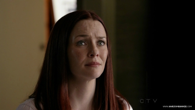 Annie Wersching in No Ordinary Family