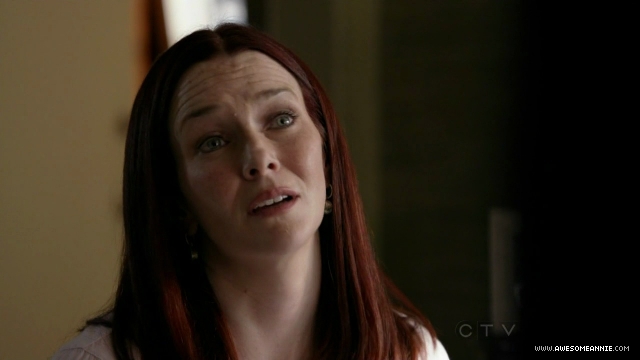 Annie Wersching in No Ordinary Family