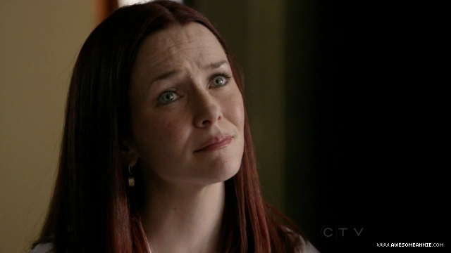 Annie Wersching in No Ordinary Family