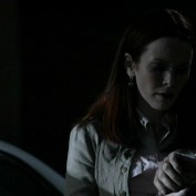 Annie Wersching in No Ordinary Family