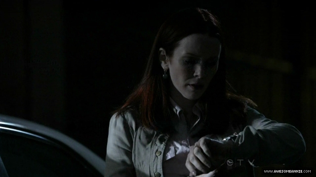 Annie Wersching in No Ordinary Family