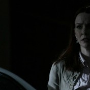 Annie Wersching in No Ordinary Family