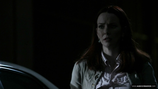 Annie Wersching in No Ordinary Family