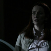 Annie Wersching in No Ordinary Family