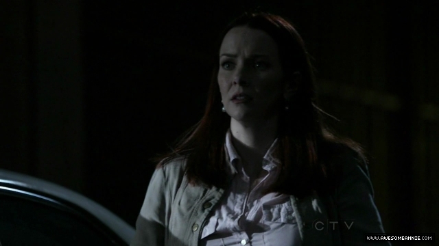 Annie Wersching in No Ordinary Family