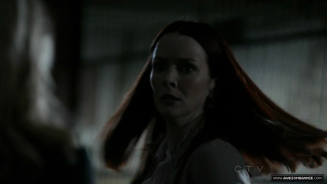 Annie Wersching in No Ordinary Family