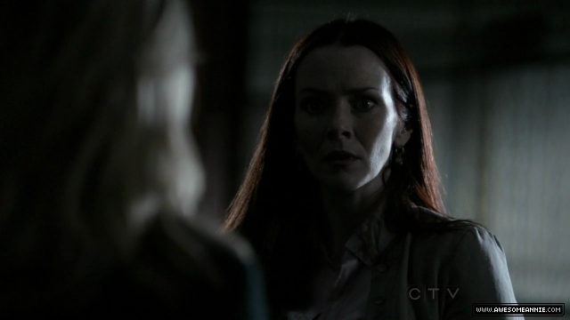 Annie Wersching in No Ordinary Family