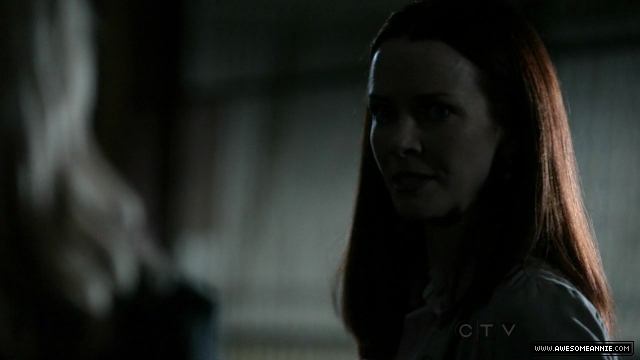 Annie Wersching in No Ordinary Family