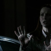 Annie Wersching in No Ordinary Family