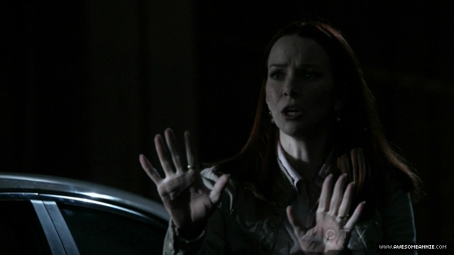 Annie Wersching in No Ordinary Family