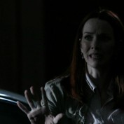 Annie Wersching in No Ordinary Family