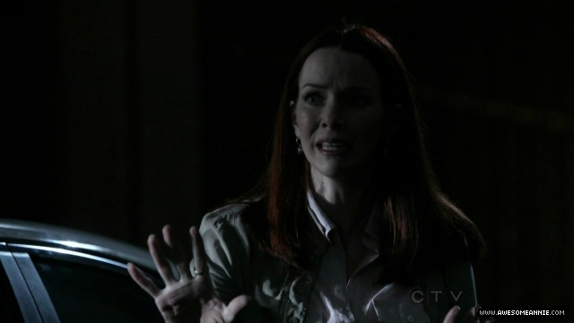 Annie Wersching in No Ordinary Family