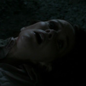 Annie Wersching in No Ordinary Family